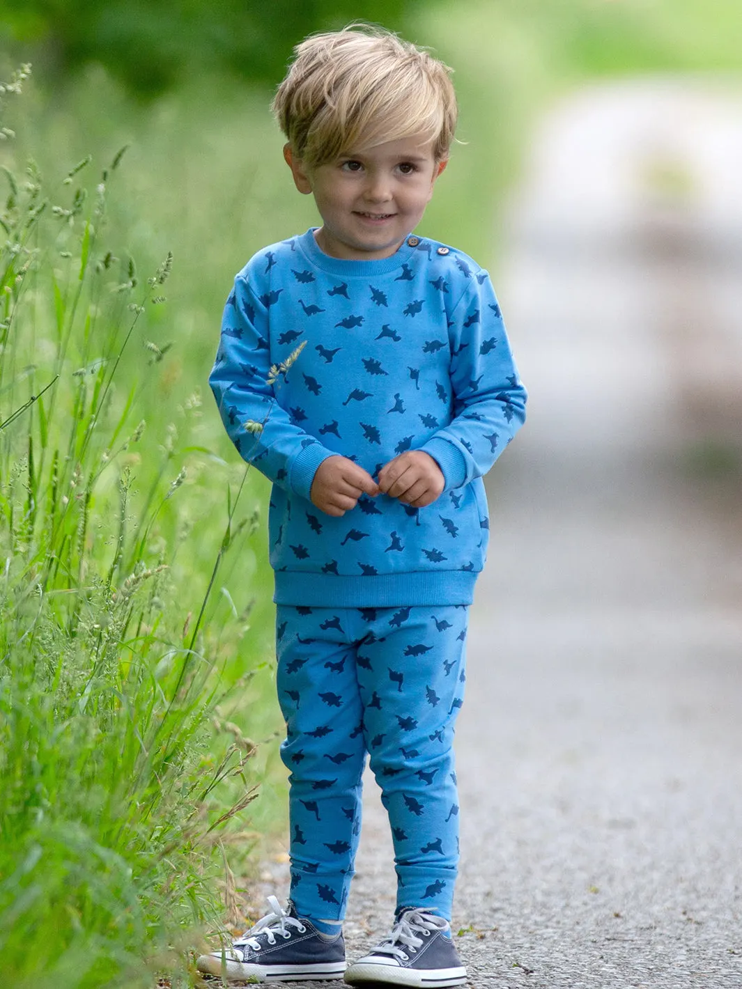 Dino dot set blue